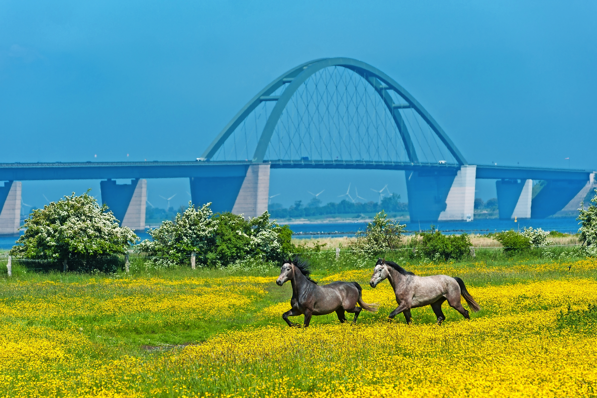 © Jürgen Wackenhut - stock.adobe.com