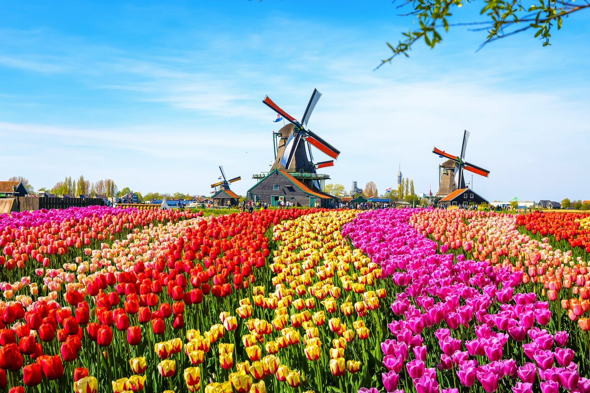 © Olena Z - stock.adobe.com
