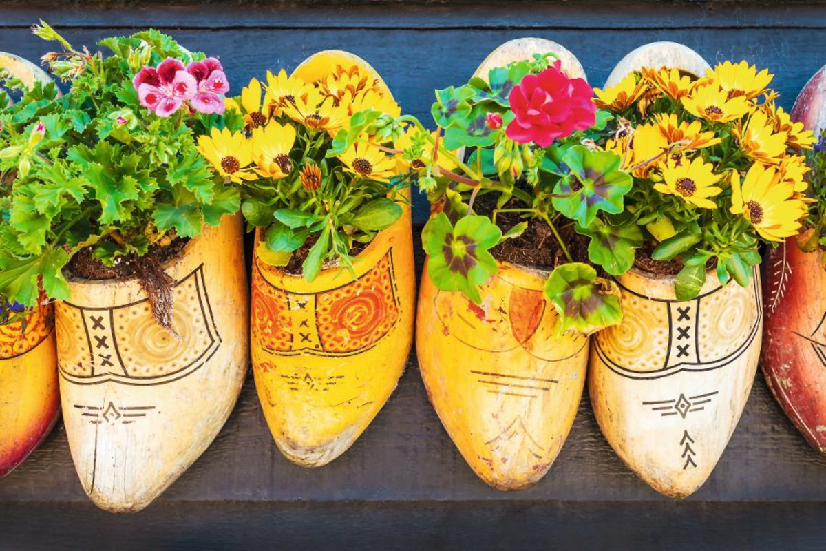 © mediagram - Fotolia
