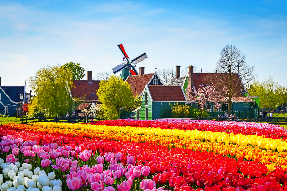© olenaznakk - stock.adobe.com
