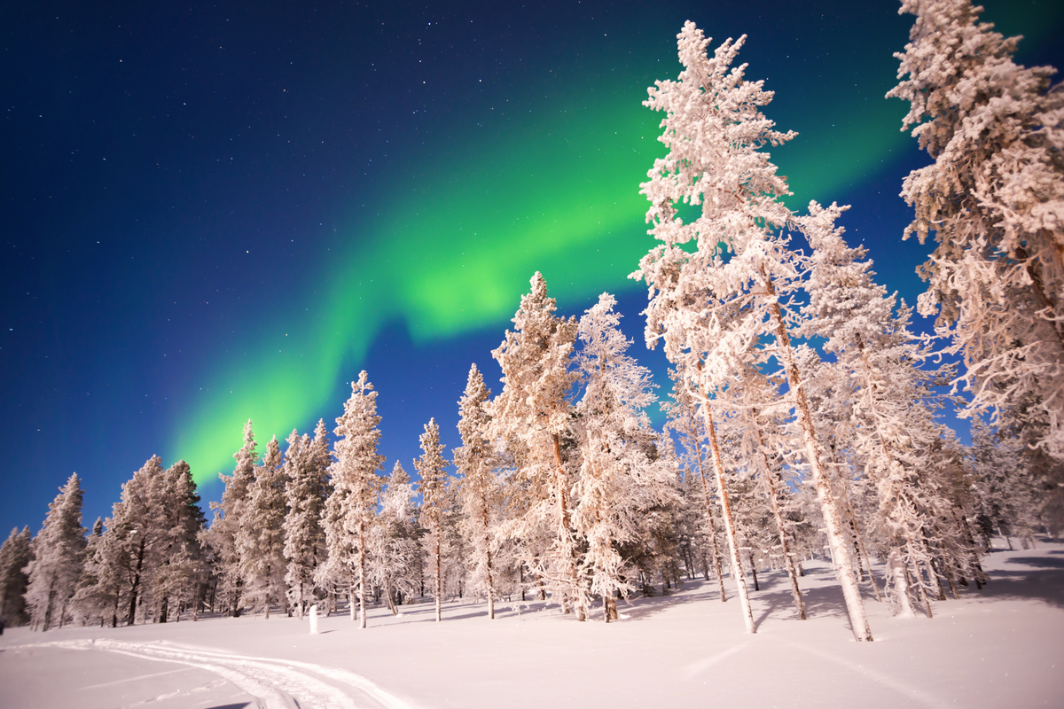 ©Delphotostock - stock.adobe.com