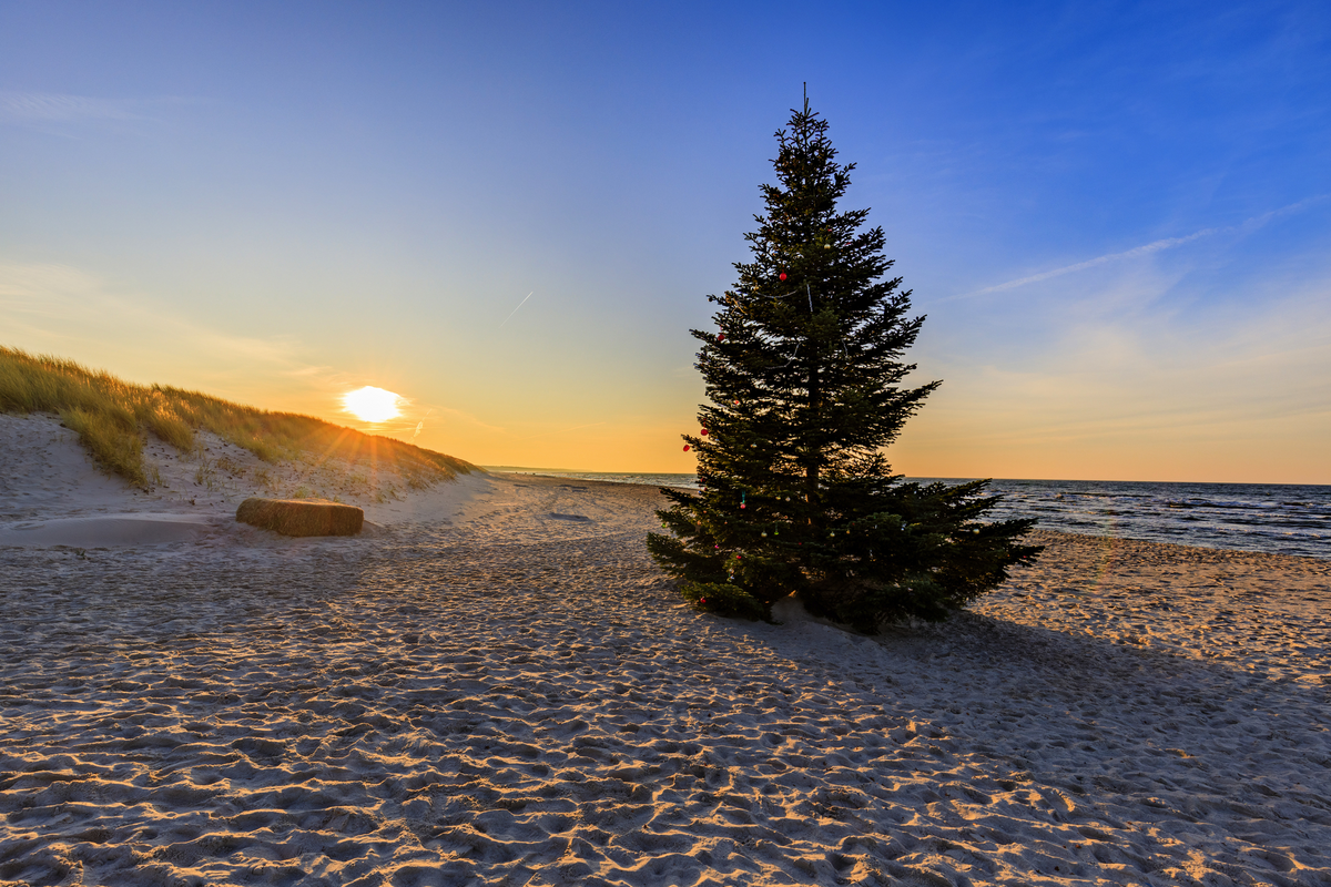 © Ralf - stock.adobe.com