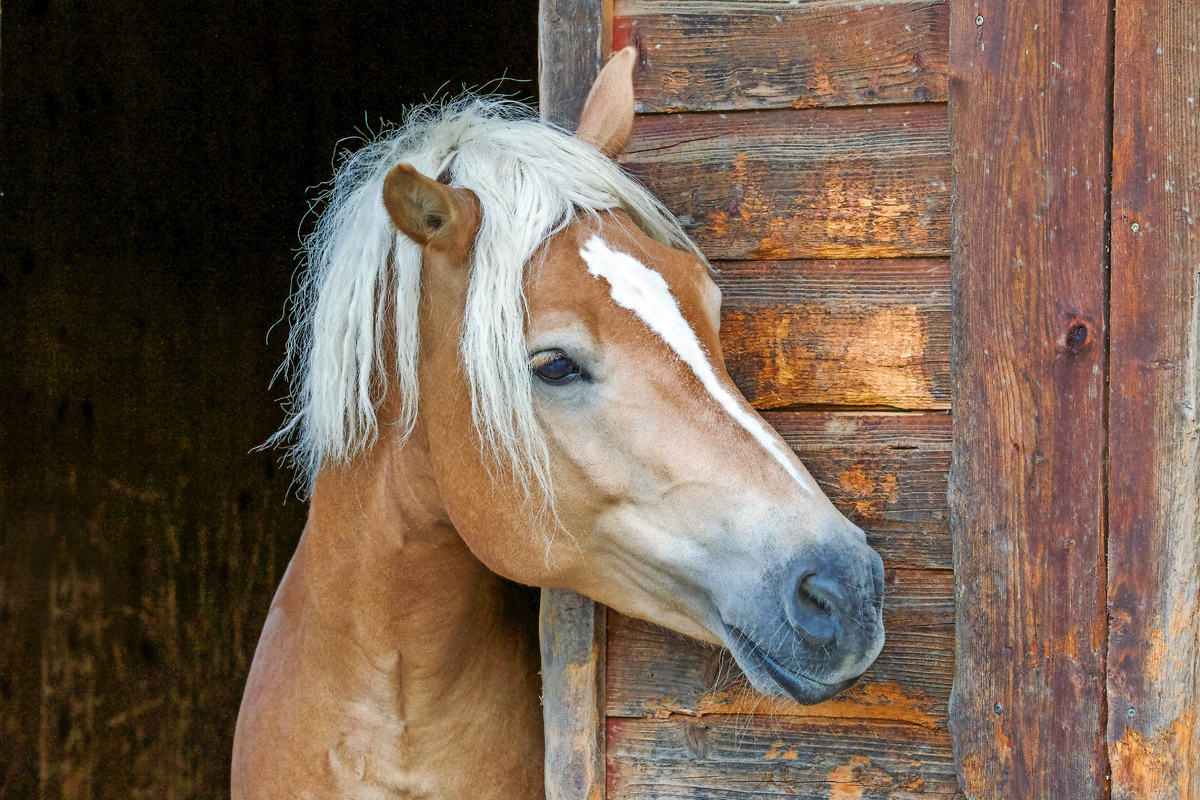 © grafikplusfoto - stock.adobe.com