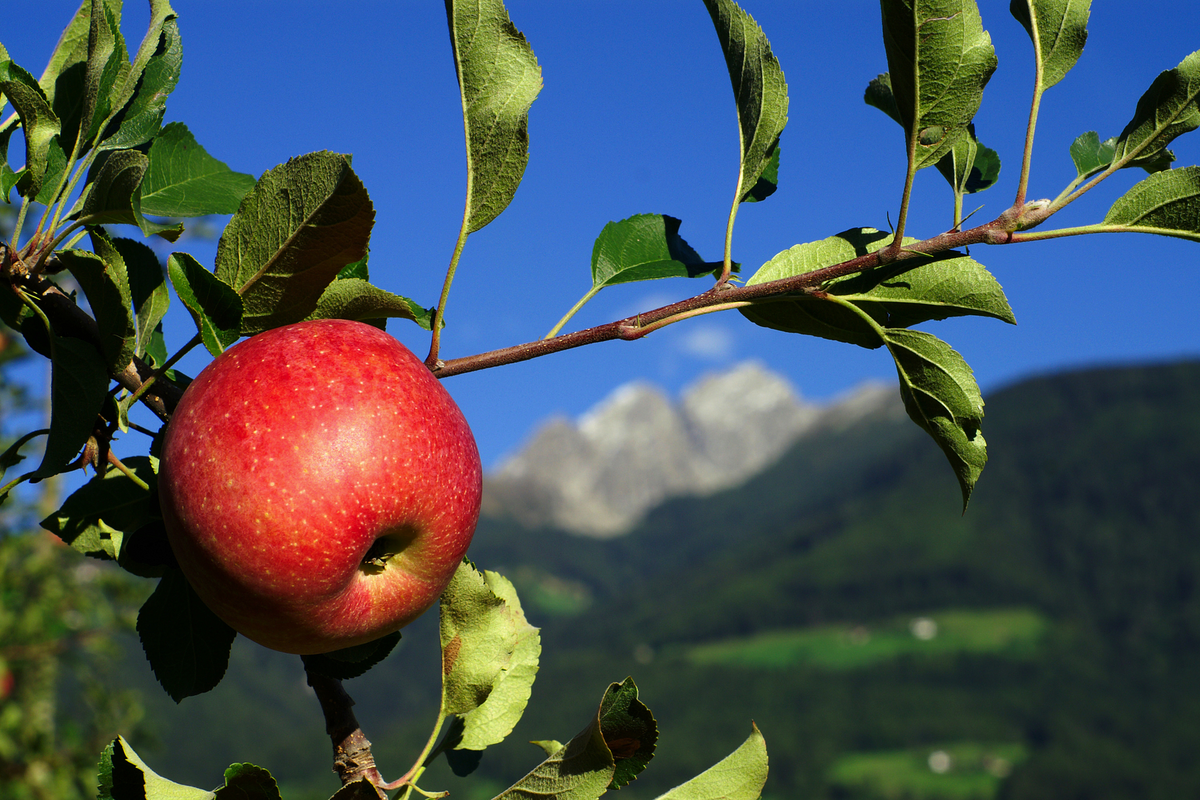 © Alban Egger - stock.adobe.com