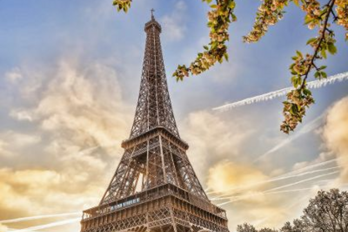 © samott - Fotolia