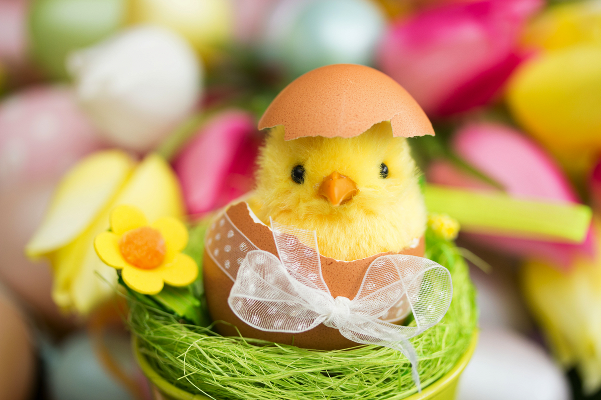 ©ChristArt - stock.adobe.com