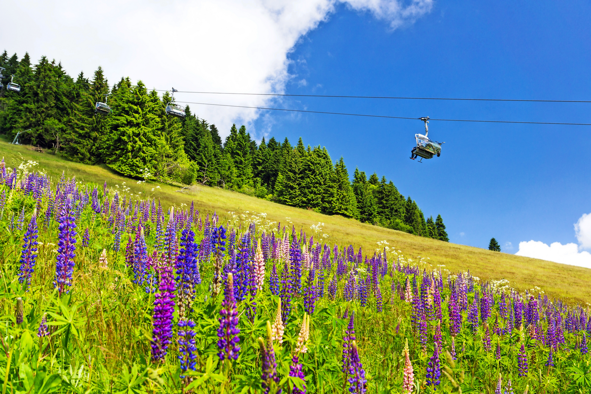 © Michael Eichler - stock.adobe.com
