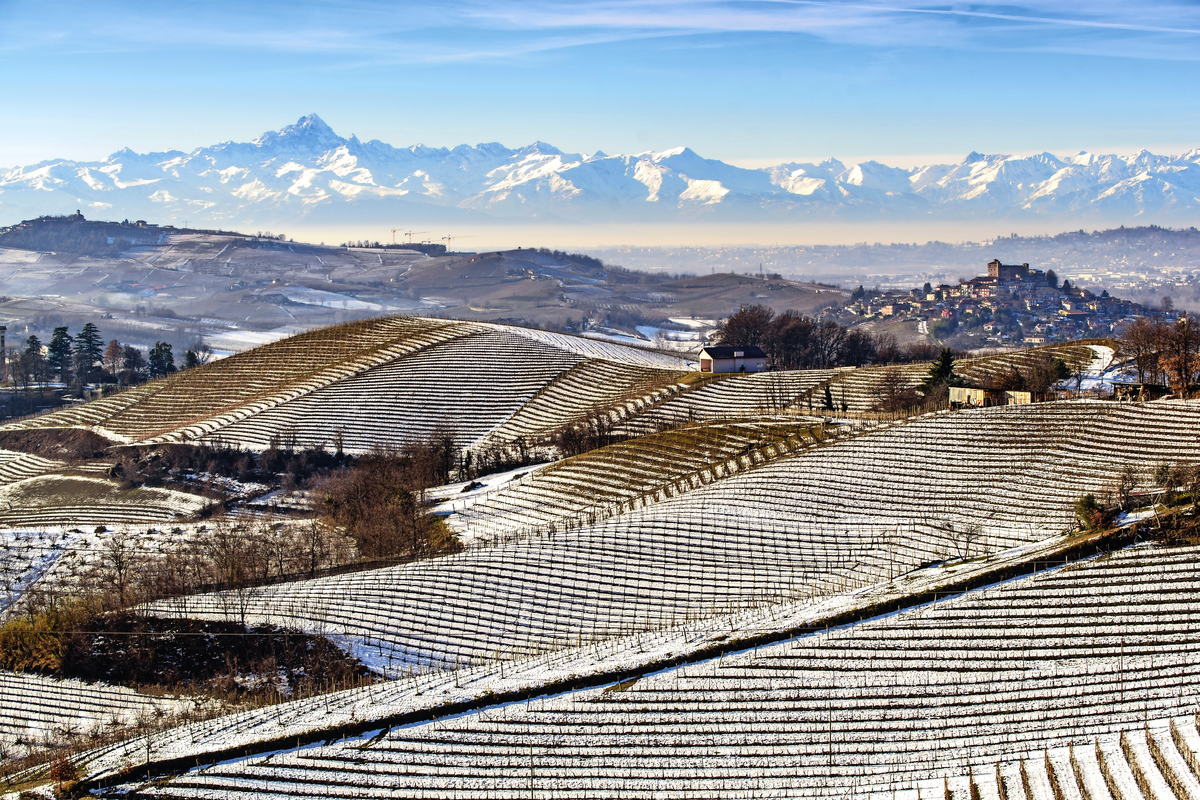 © stefanocar_75 - stock.adobe.com