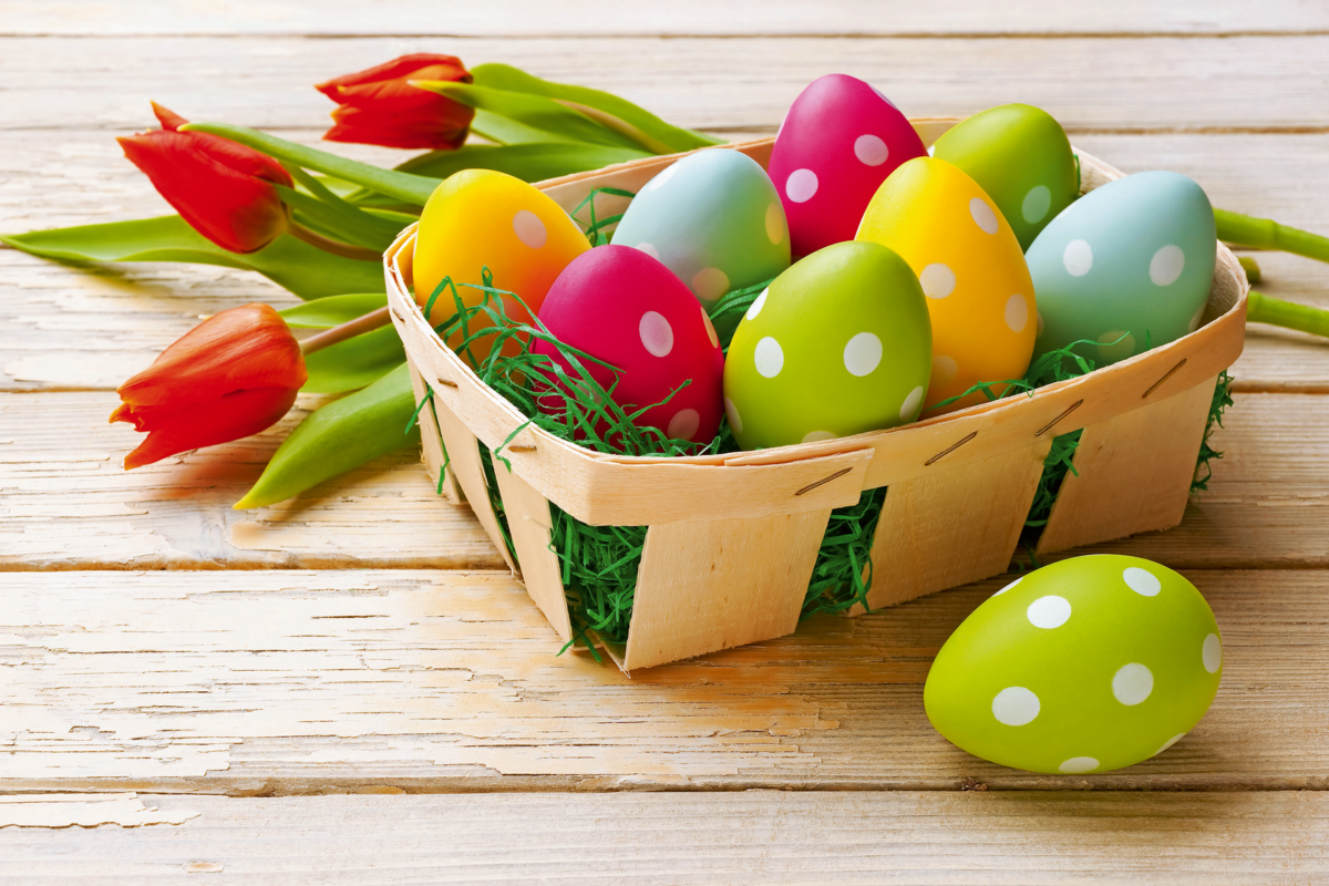 © Simone Andress - Fotolia