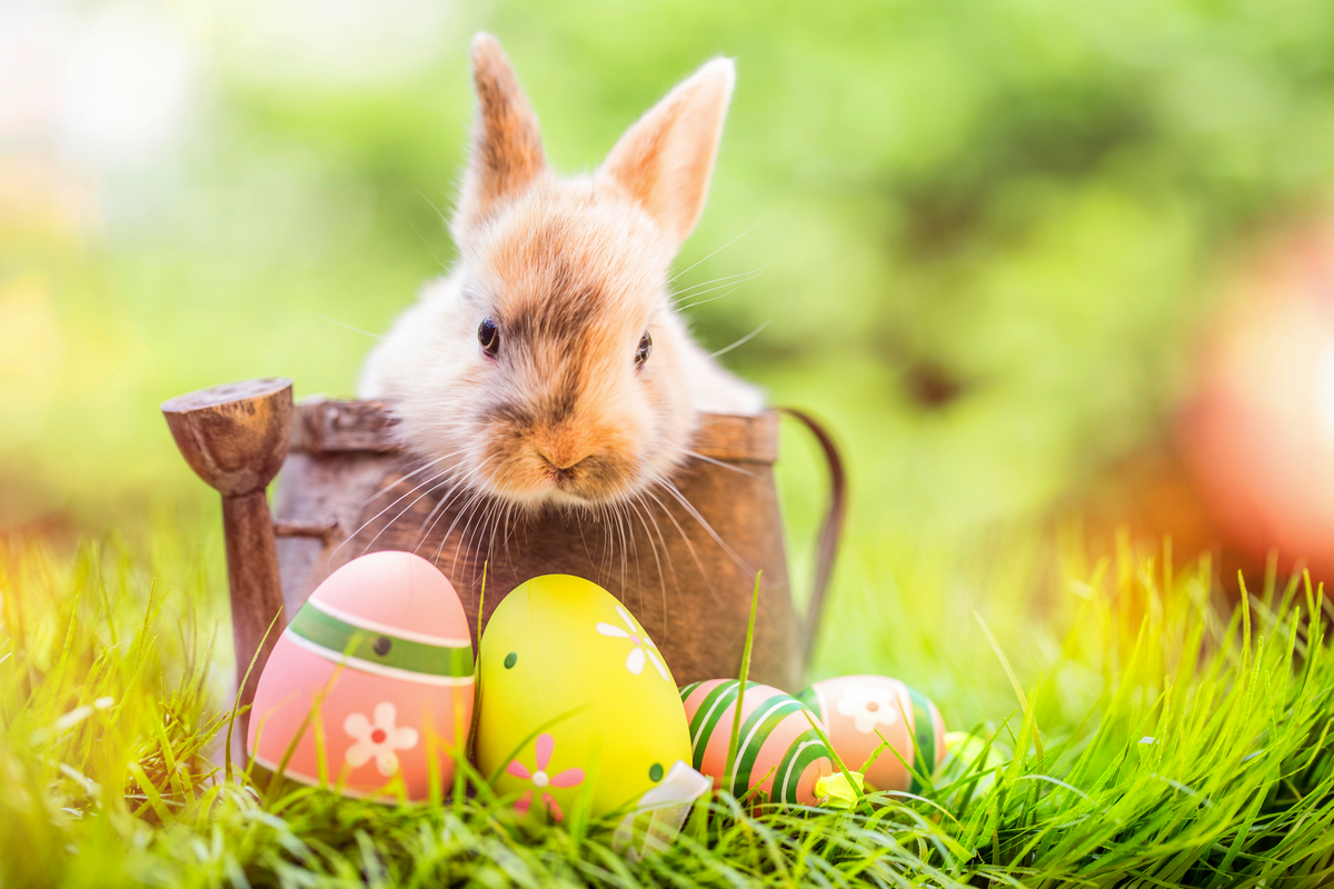 © drubig-photo - stock.adobe.com