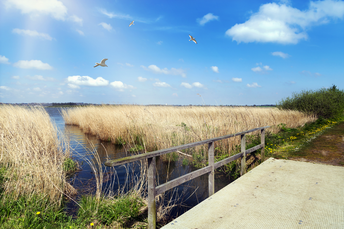 © Gabriele Rohde - stock.adobe.com