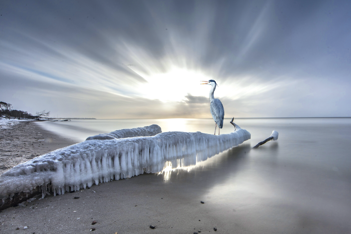 ©haiderose - stock.adobe.com