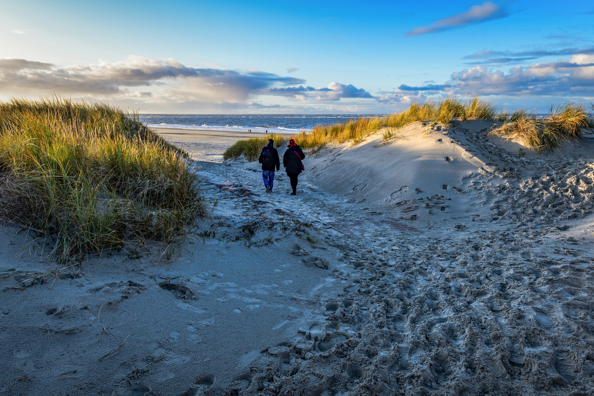 © Olaf Schlenger - stock.adobe.com