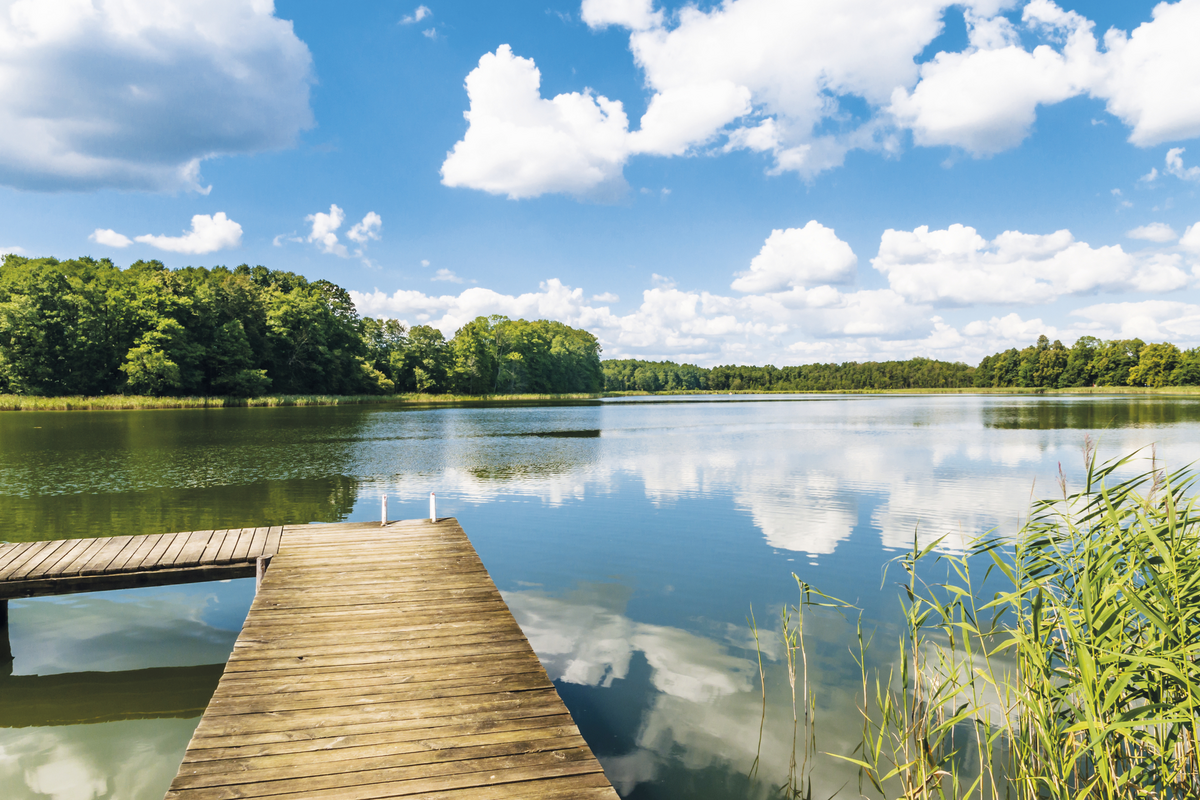© majonit - Fotolia
