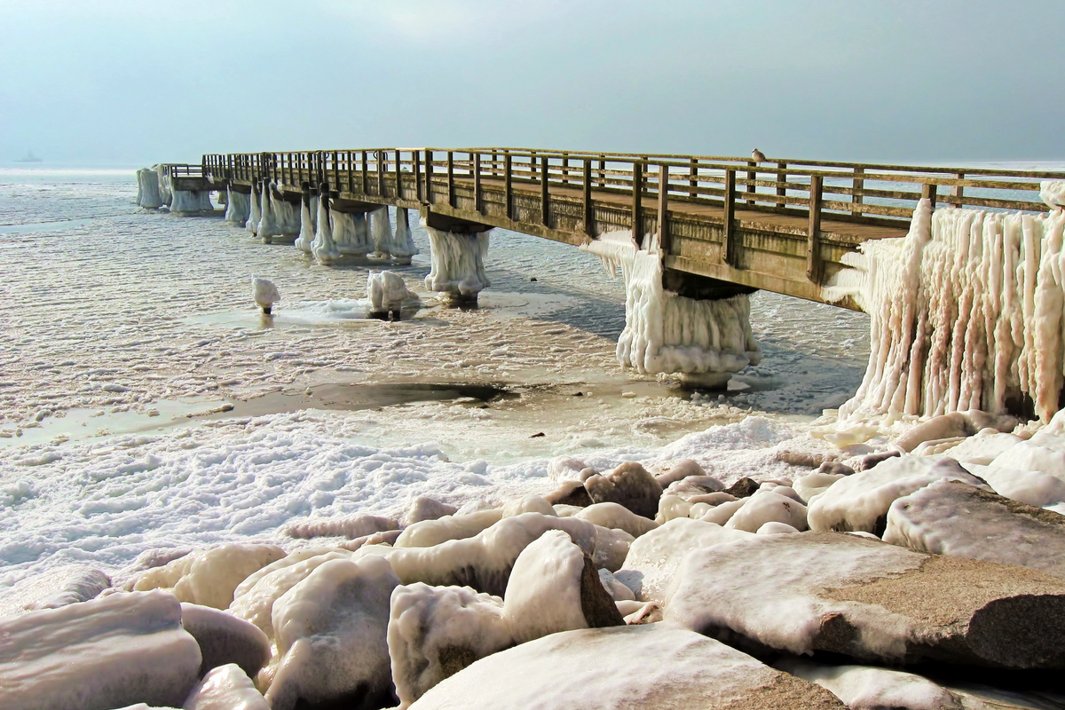 © LianeM - stock.adobe.com