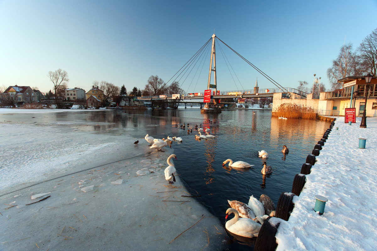 © Maciej - stock.adobe.com
