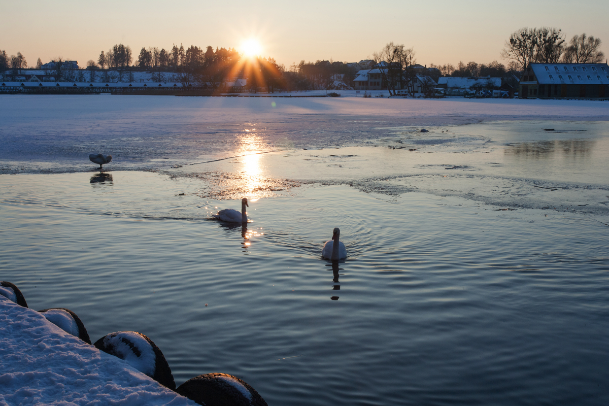 © Maciej - stock.adobe.com