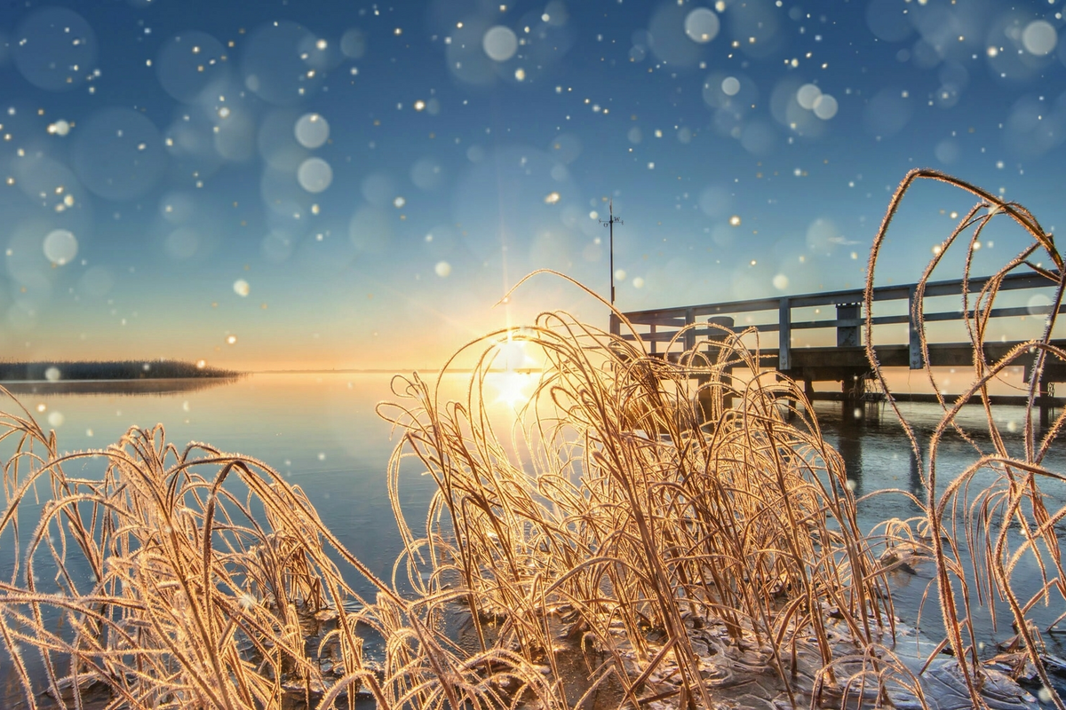 ©haiderose - stock.adobe.com