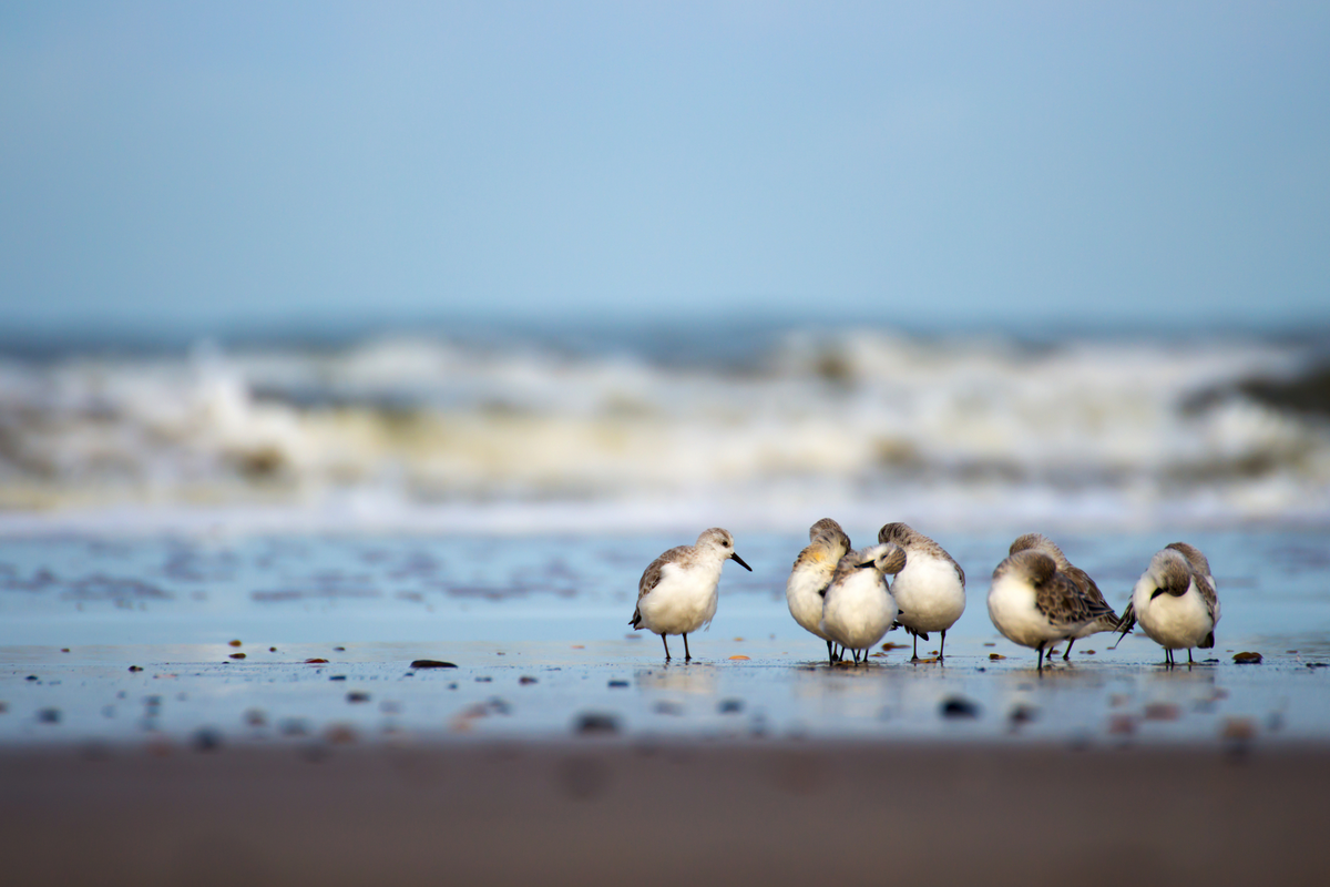© Dennis Fehling - stock.adobe.com