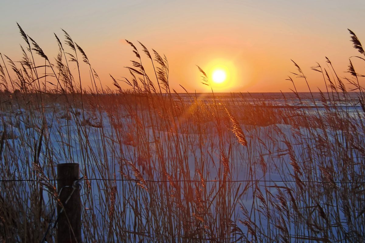 © Inga Langhals - stock.adobe.com