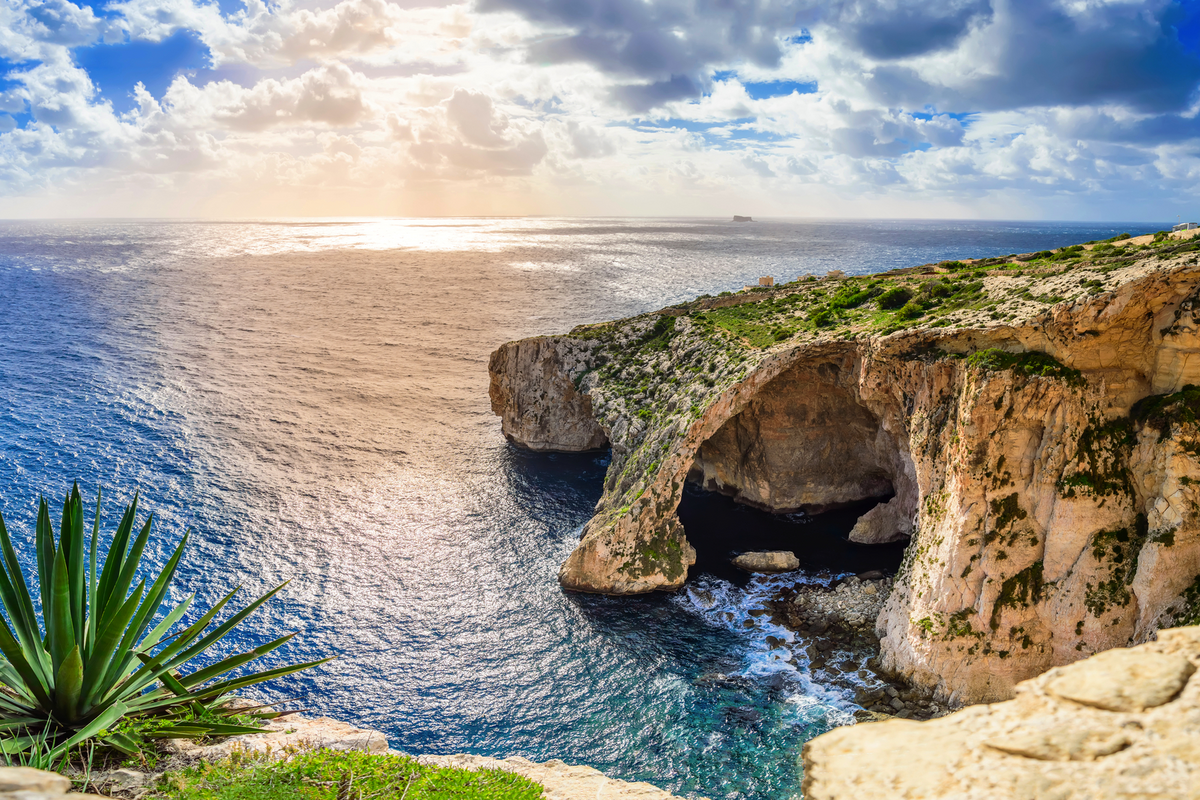© Julia Lavrinenko - stock.adobe.com