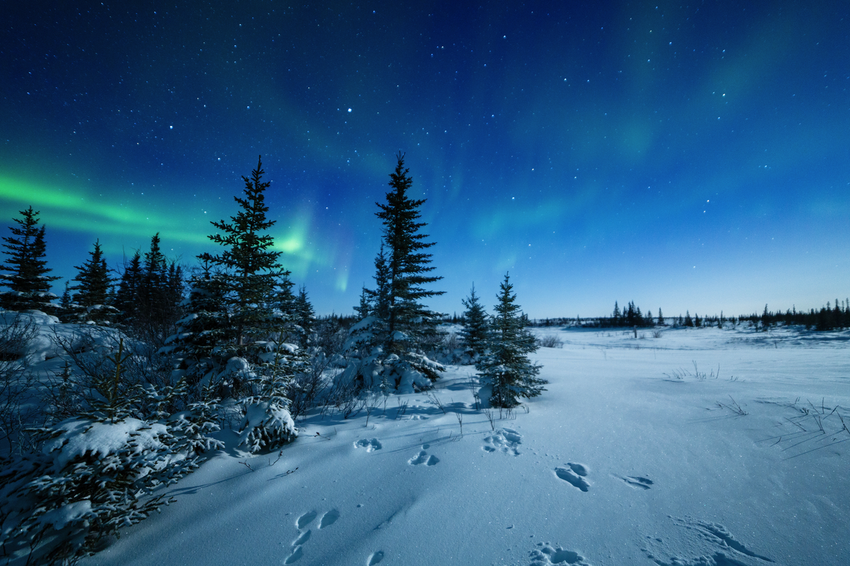©davidmarx - stock.adobe.com