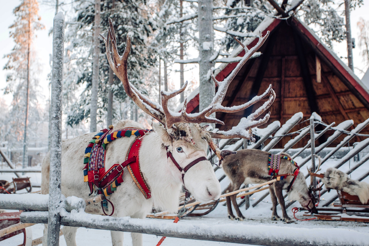 © AntonAntonovv - stock.adobe.com