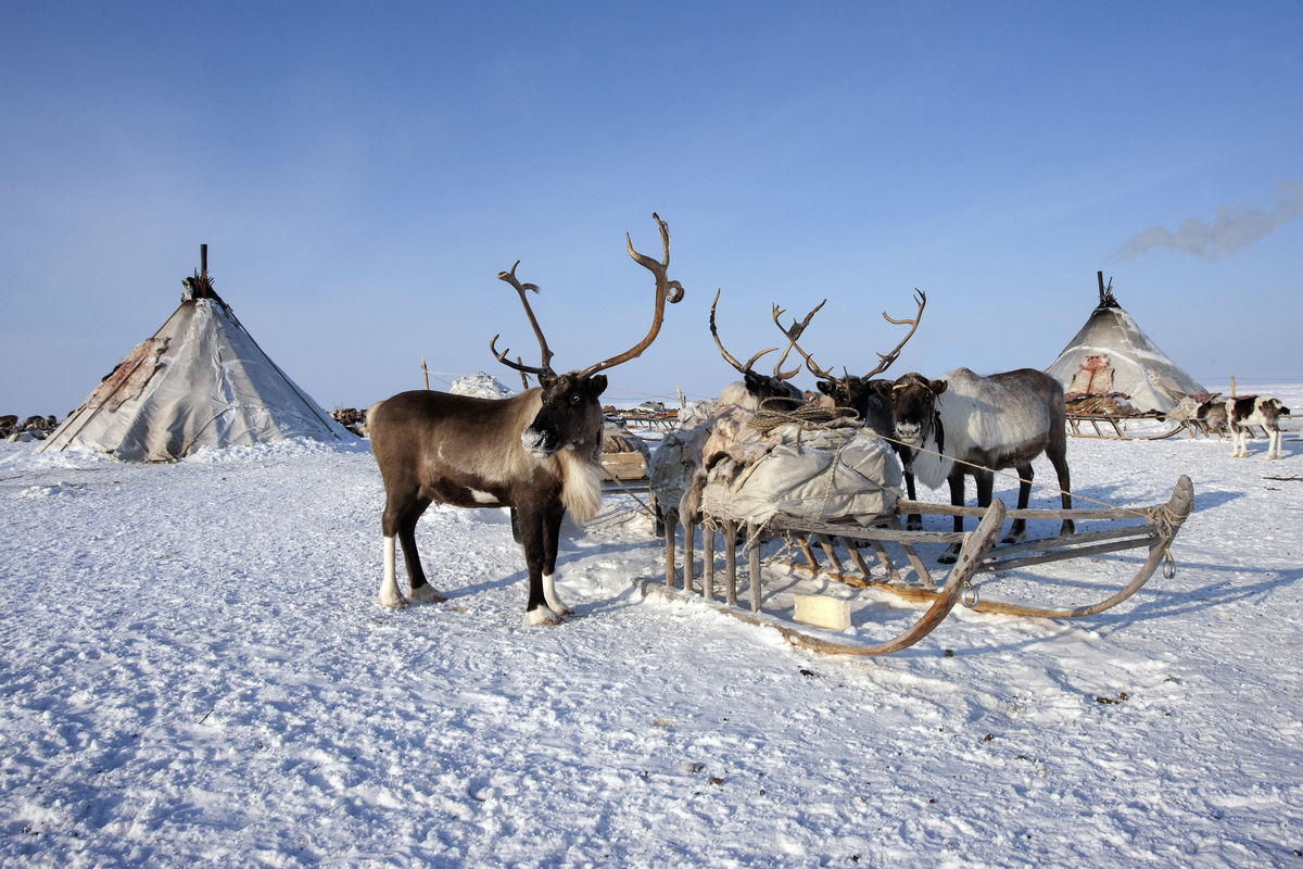 © Alexandr - stock.adobe.com