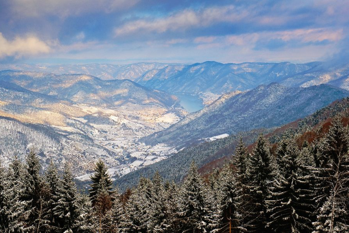 © fotofrank - Fotolia