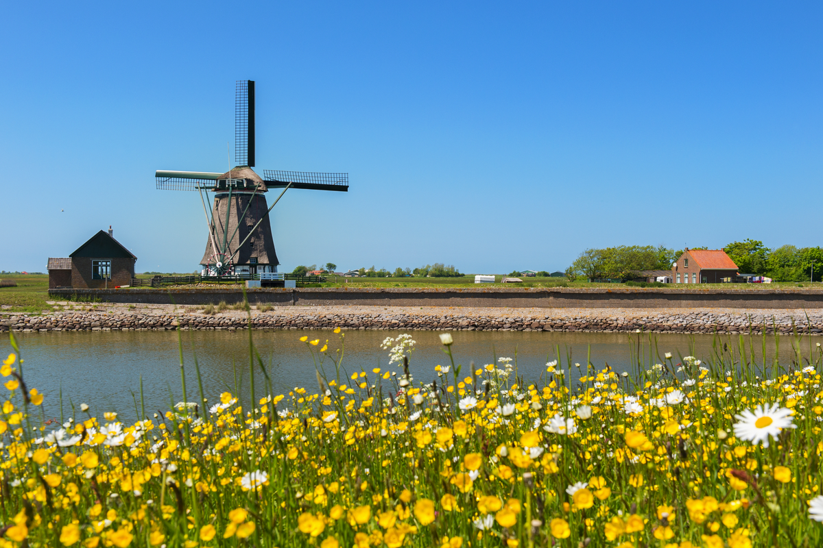 ©Ivonne Wierink - stock.adobe.com