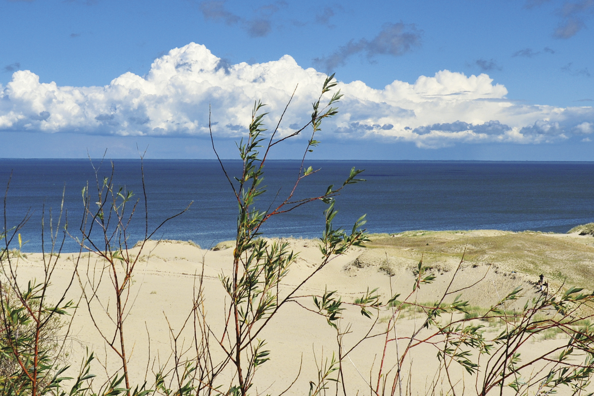 ©thauwald-pictures - stock.adobe.com