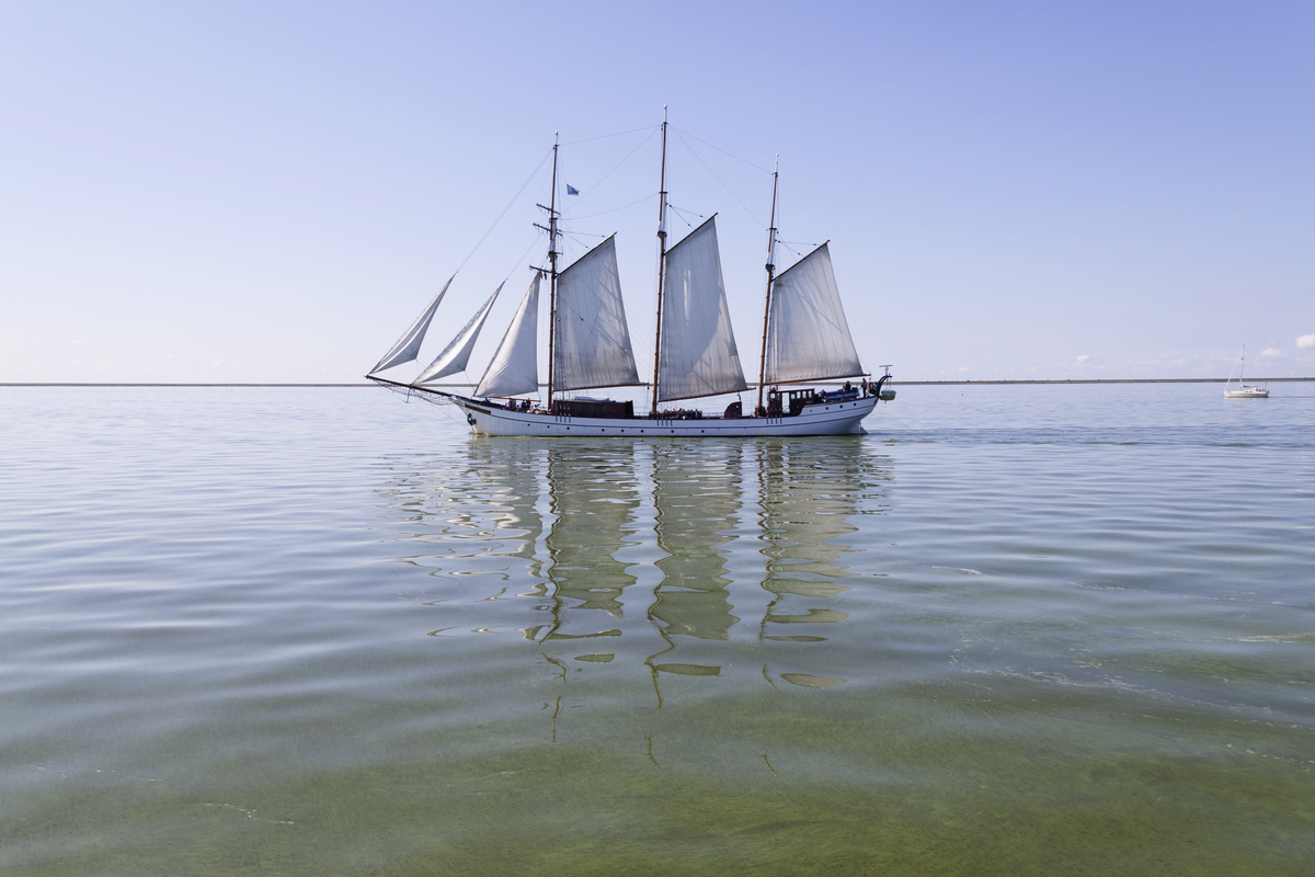 ©Joop Hoek - stock.adobe.com