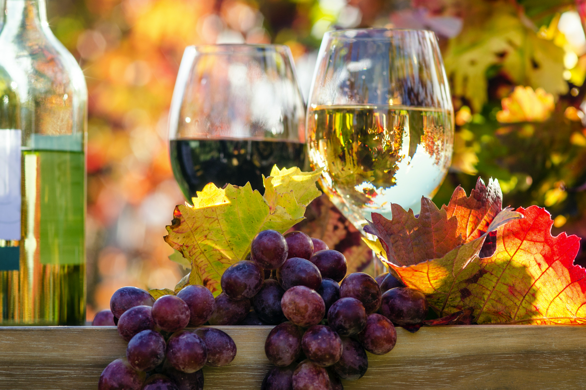 ©doris oberfrank-list - stock.adobe.com