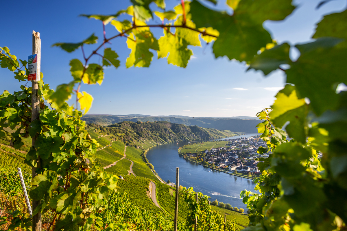 © mh90photo - stock.adobe.com