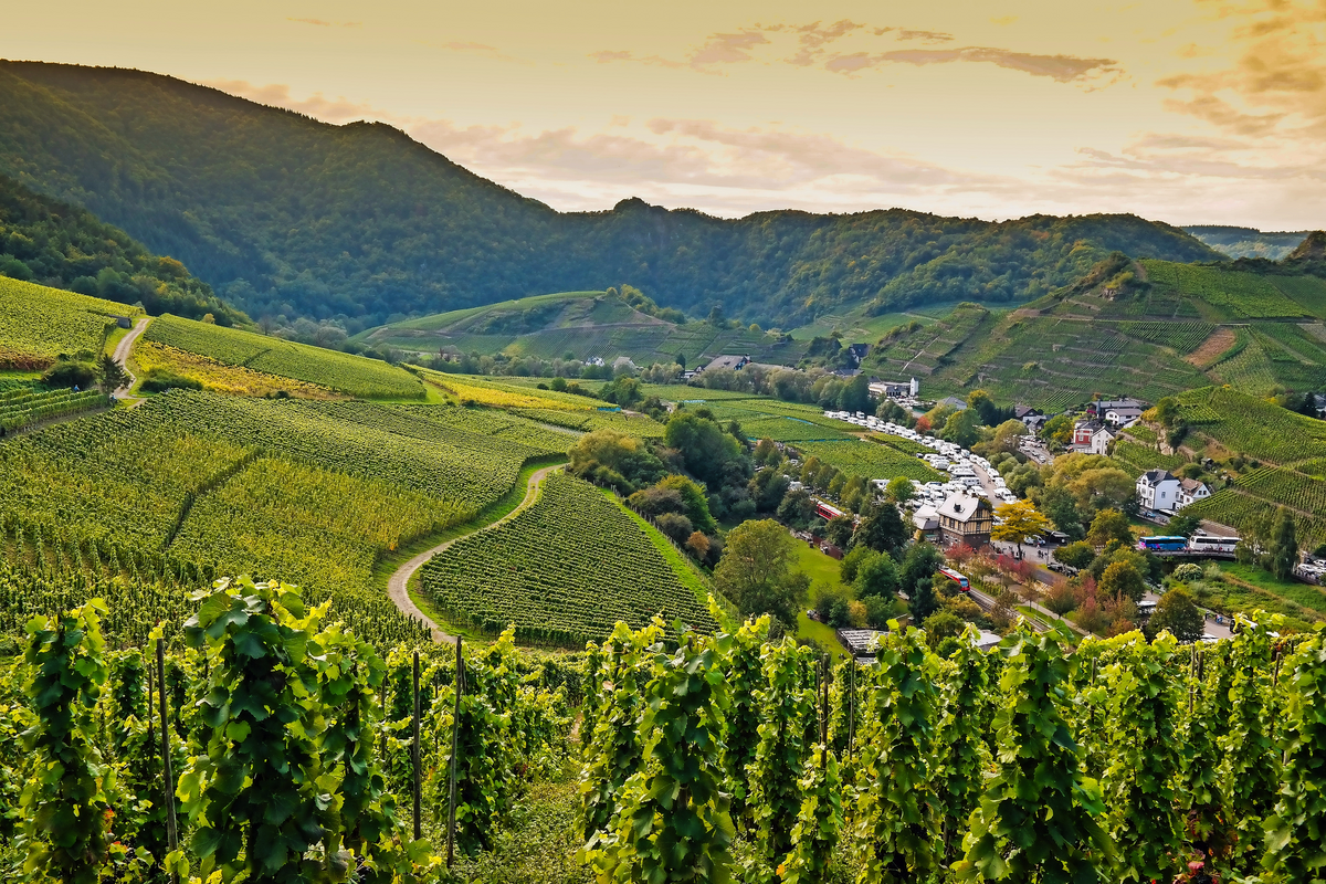 © julia_sergeeva - stock.adobe.com
