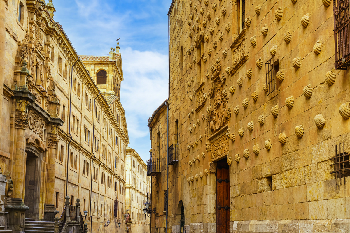 © josemiguelsangar - stock.adobe.com